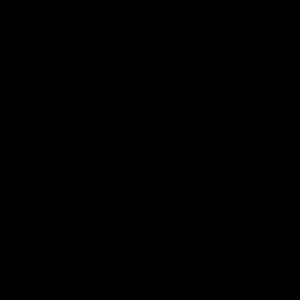 Meet your Posher, Ray